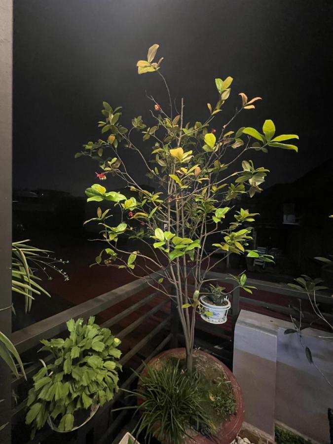 Sunflower Homestay Hai Phong Exterior foto